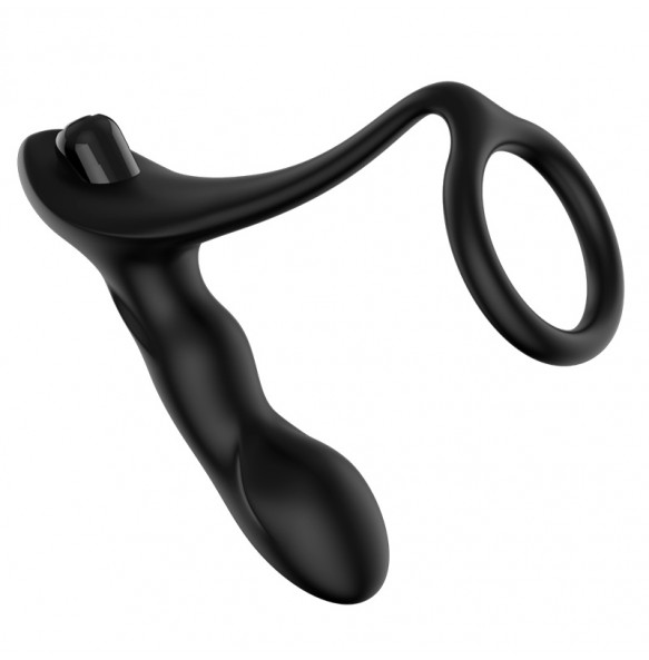 HK LETEN Male P-Spot Vibrating Prostate Massager (Battery)